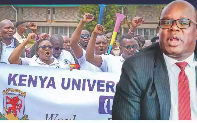 Dead cat in lecture hall: Why varsity strike is a red herring