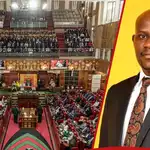 Betwel Manga pushes for diaspora county 48 to give Kenyans abroad parliamentary voice