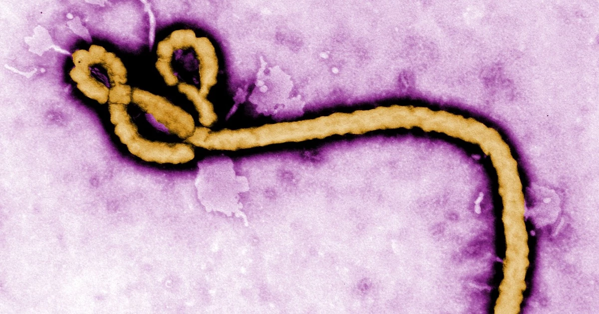Another African country confirms Ebola case, becoming fifth affected by regional outbreak
