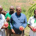 Kenya farmers turn to underutilised indigenous fruits to improve livelihoods