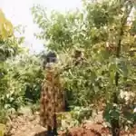 Machakos coffee farmers urged to increase production