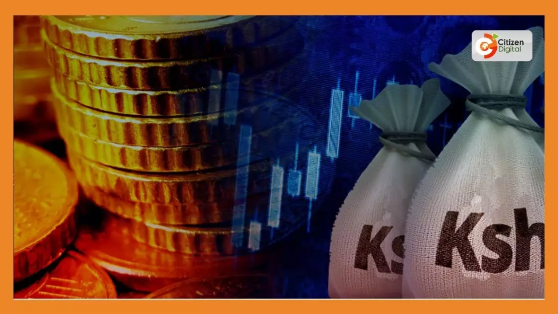 New Africa credit rating agency seeks to lower borrowing costs