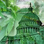THC Beverage Bill Could Complicate Workplace Drug Tests