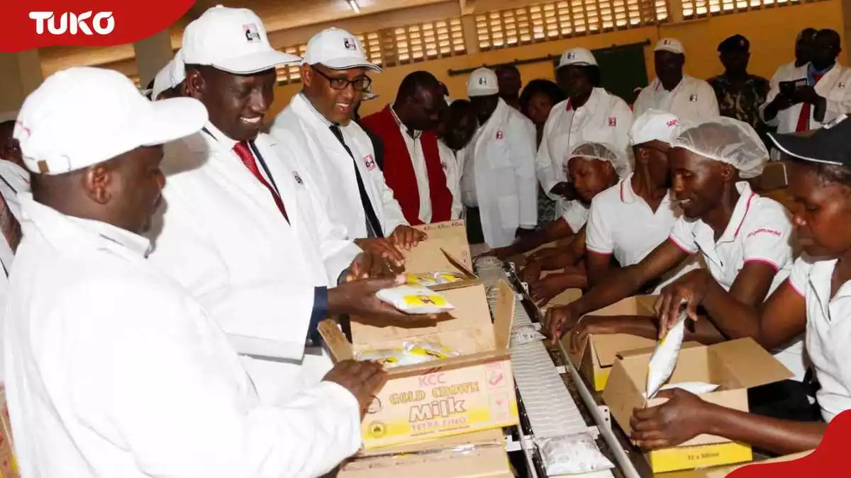 Ruto's milk, water price comparison annoys Kenyans: "Why is water more expensive?"