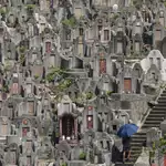 Flowers, roast pork and paper ingots: families keep Chung Yeung traditions alive