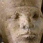 New forensic evidence supports Egyptian 