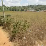 EACC Recovers 2.7-Acre Playground Belonging to 3 Schools From Church After Court Ruling in Kiambu
