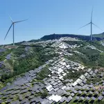 As AI and the Iran war loom, China’s energy technocrats are on the fast track