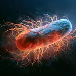 Scientists gave worms magnetic bacteria. They lived 43% longer