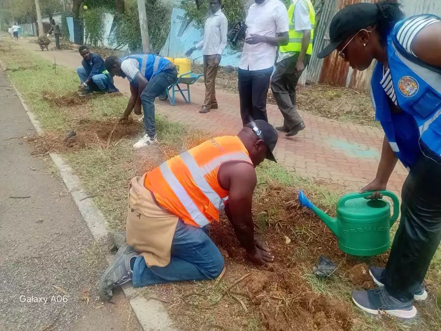 Kisumu targets 10,000 trees ahead of Mazingira Day celebrations