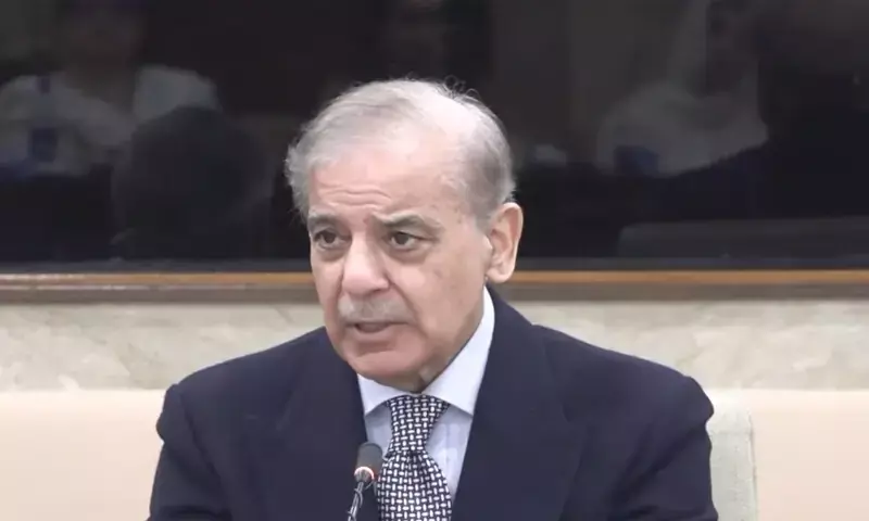 PM Shehbaz paints grim picture of KP under PTI govt, says Centre was compelled to impose governor's rule