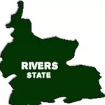 Courts convict 137 oil thieves as Navy uncovers illegal refinery in Rivers