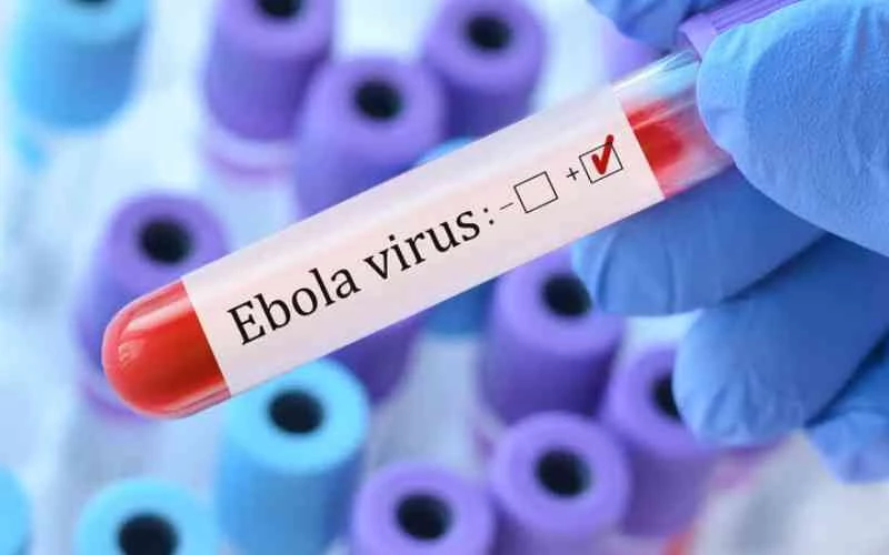 Suspected Ebola patient tests negative in Wajir