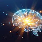 Scientists discover a surprising clue to why some brains resist Alzheimer’s