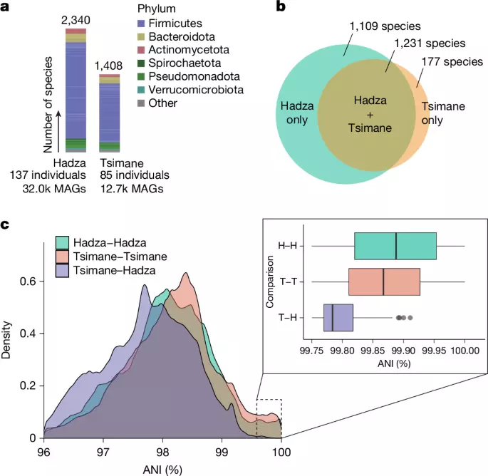 Prehistoric global migration of vanishing gut microbes with humans