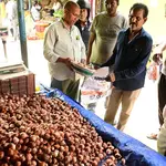 No rush for subsidised onions at Vijayawada Rythu Bazaars