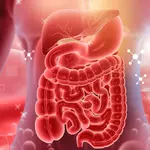 Scientists solve a 30-year mystery behind inflammatory bowel disease
