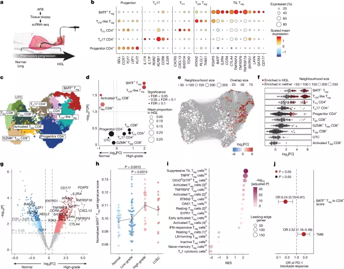 A preinvasive regulatory T cell axis for lung cancer interception