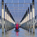 'It's offensively cheap': Solar power is quietly becoming bigger than nuclear