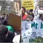 Forest Defenders March to Ministry Over Kenya's Deforestation Crisis