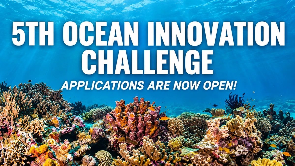 UNDP Ocean Innovation Challenge 2026: Apply for Up to US$100,000 to Reduce Marine Pollution and Restore Coastal Ecosystems