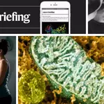 Daily briefing: How to rebuild science from ruin