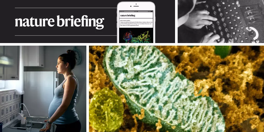 Daily briefing: How to rebuild science from ruin
