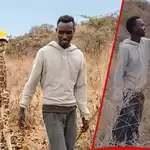 Heartwarming video as 2 Kenyan men are spotted caring for baby giraffe