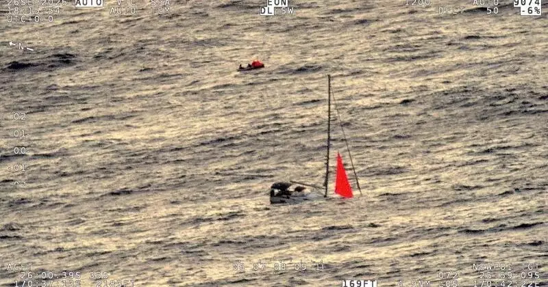 Whale sinks yacht in South Pacific, sailors rescued alive 18 hours later