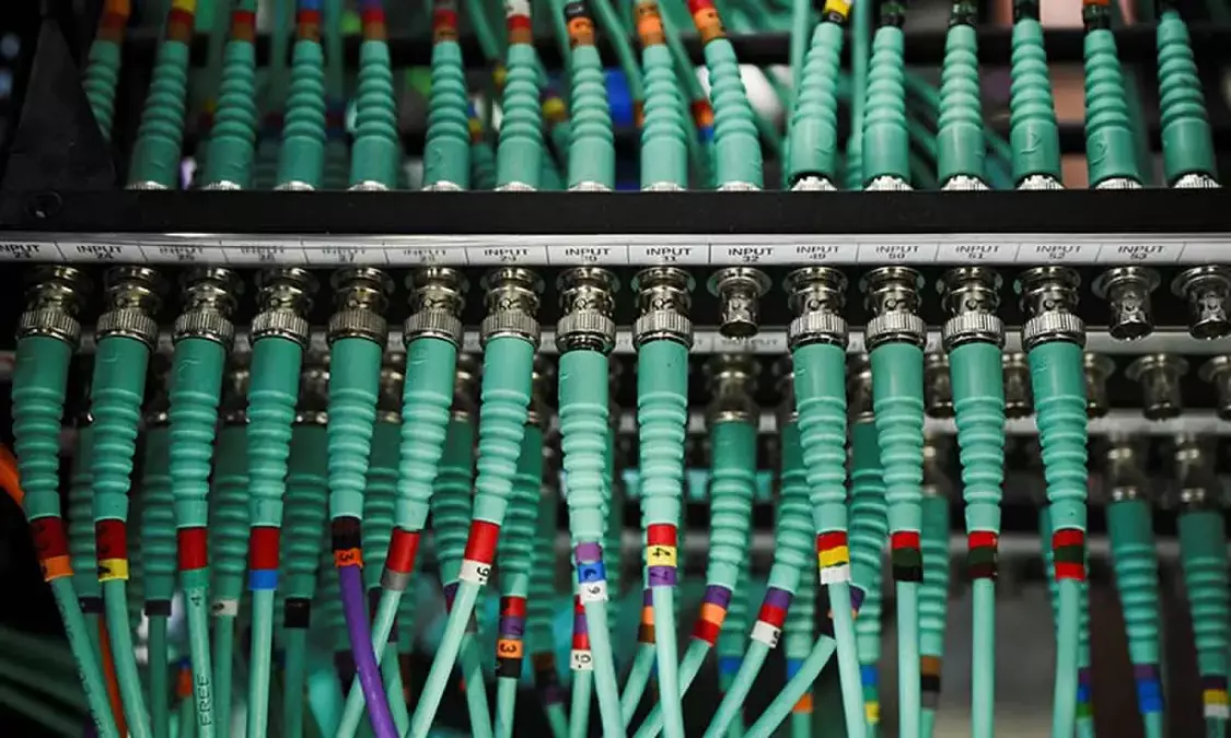 Government websites go dark after AI-discovered flaw sparks security scramble