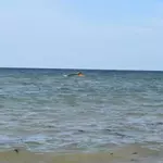 At least 139 migrants dead, including some children, after boat from Djibouti to Yemen capsizes, UN agency says