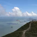 Man, 74, lost control of paraglider in strong winds, probe into fatal crash finds