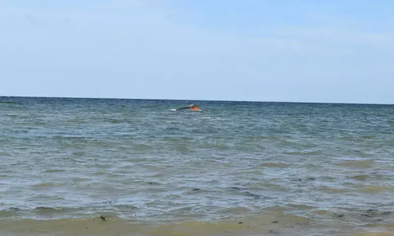 At least 139 migrants dead, including some children, after boat from Djibouti to Yemen capsizes, UN agency says