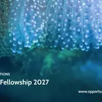 Impact AI Fellowship 2027 in Germany: €5,000 Stipend for a Ten-Week AI Impact Assessment Programme in Berlin