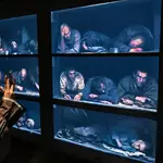 Russia glosses over Stalin-era repression in reinvented museum