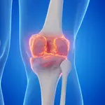 Goodbye joint replacements? Stanford scientists found a way to regrow cartilage and stop arthritis
