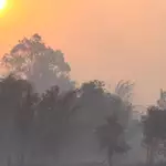 Prabowo warns regional critics Indonesia won’t be ‘insulted’ over haze