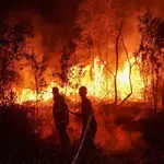 Indonesian governor’s Singapore trip adds fury to forest fire, haze crisis
