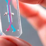 Alternatives to Animal Testing Are Finally Taking Off