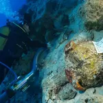 Archaeologists may have just found the world's oldest shipwreck