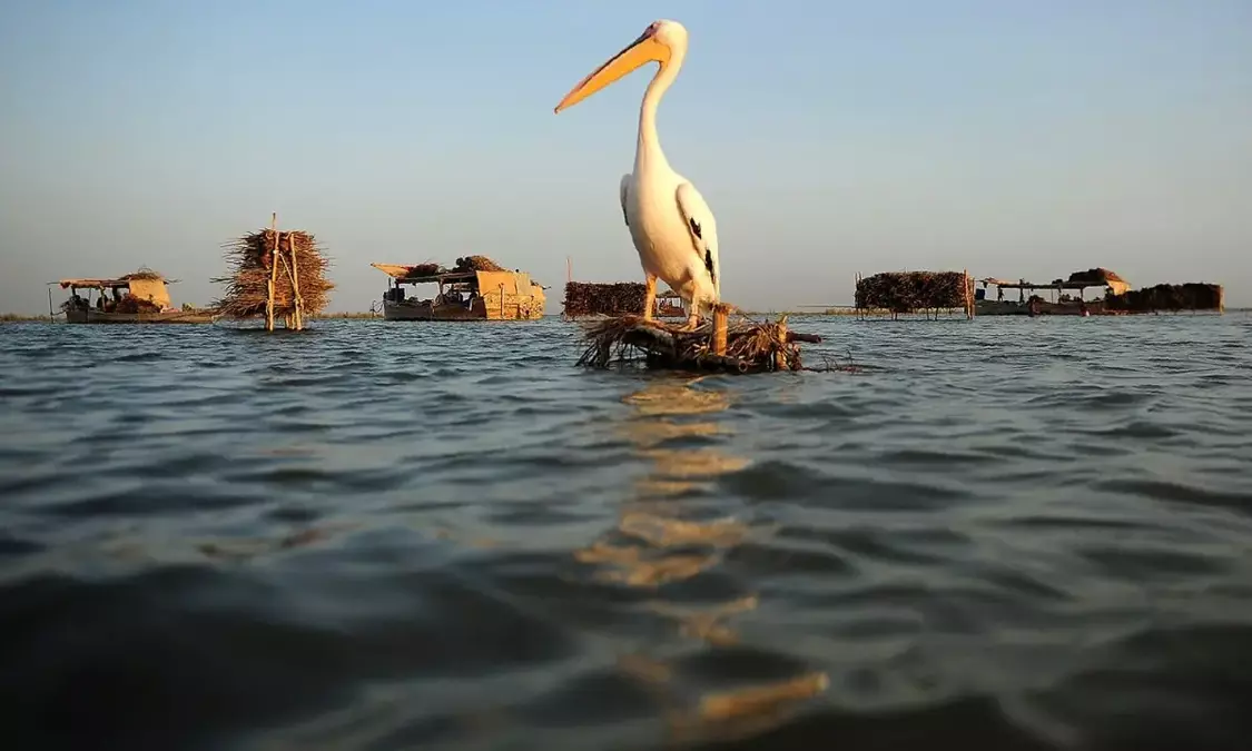Effluents turn once-pristine Manchar Lake toxic
