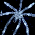 Give me the good news: four science stories to brighten your day