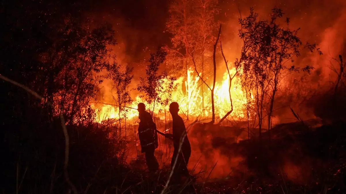 Indonesian governor’s Singapore trip adds fury to forest fire, haze crisis