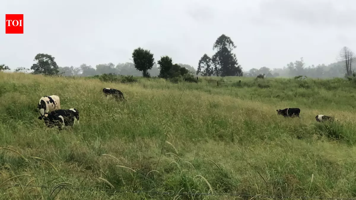 Queensland farmer opened 4 campsites after drought; they brought in over A$50,000