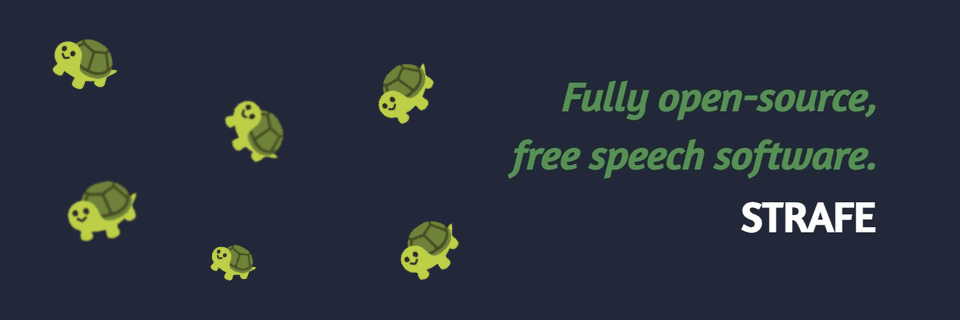 Strafe: A new open-source, E2E Encrypted, and federated alternative to Discord