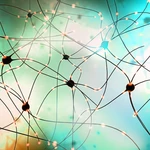 Mini brain organoids 'reading' Braille key step towards biohybrid computing