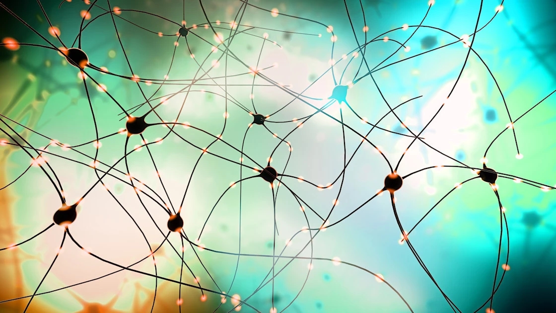 Mini brain organoids 'reading' Braille key step towards biohybrid computing