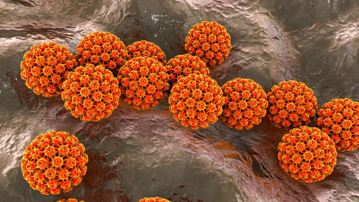 1 in 8 cancer cases are caused by infections