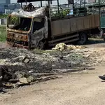 5 dogs found dead near San Tin fish ponds in suspected poisoning case
