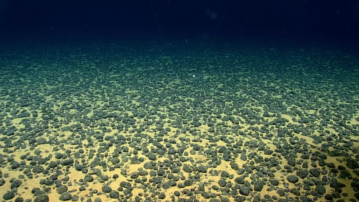 Chinese team finds 11,700 new viruses in world’s biggest seabed metal deposit